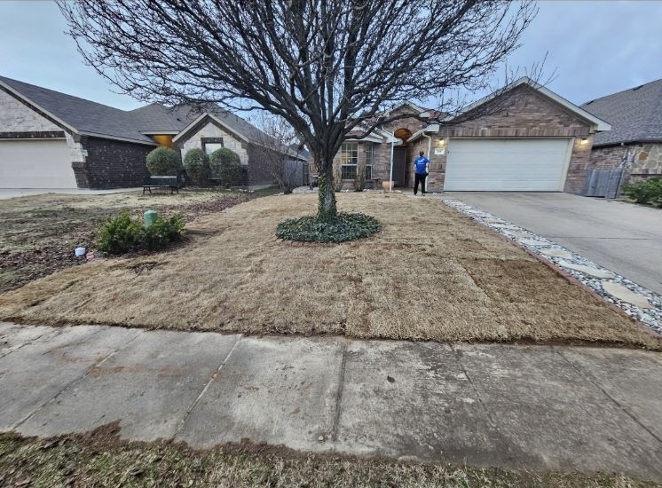 Elevate Your Lawn with Expert Sod Replacement in Greenville, TX
