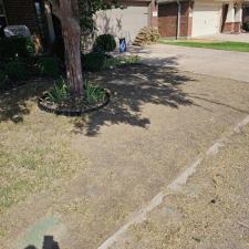 Transform-Your-Lawn-with-Premium-Sod-Replacement-in-Rockwall-TX 0