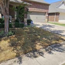 Transform-Your-Lawn-with-Premium-Sod-Replacement-in-Rockwall-TX 2